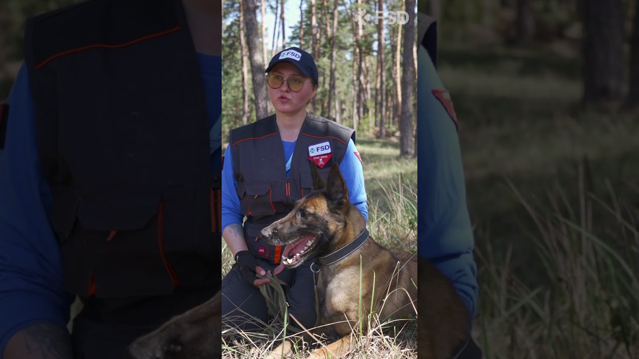 "We had an instant connection"  #dogtraining #demining