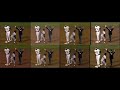 1989 World Series Earthquake VHS Tape Perspectives