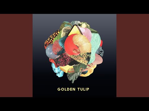Golden Tulip