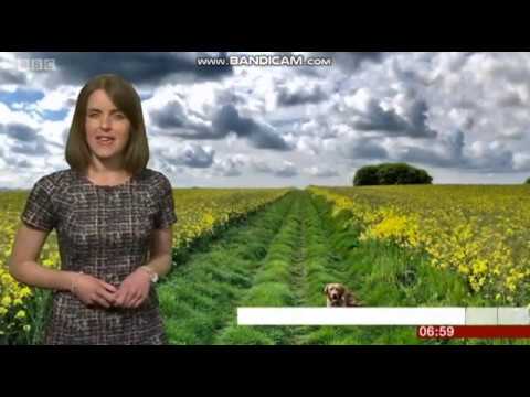 Alex Osbourne South Today weather May 16th 2019 - 60 fps