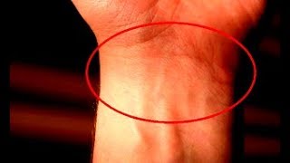 СКОЛЬКО ЛИНИЙ У ВАС НА ЗАПЯСТЬЕ, 3 ИЛИ 4? ТАК ВОТ, ЧТО ЭТО ЗНАЧИТ