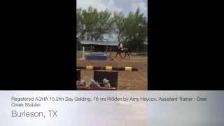 AQHA Brother