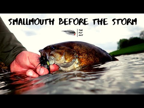 Drop Shot Fly Fishing For Smallmouth Bass -May 9, 2019 - The Fly Guy Video