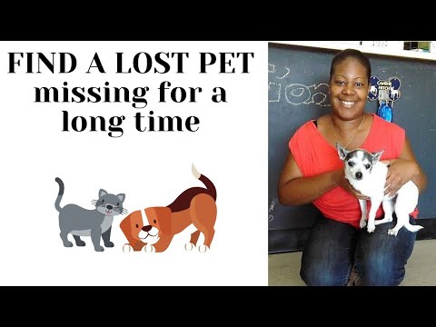 FIND A LOST PET missing for a long time