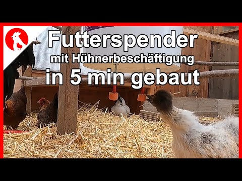 , title : 'F161 Futterspender mit Beschäftigung für Hühner - in 5 min gebaut -  Jensman and the Huhns'