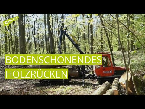 Bodenschonendes Holzrücken in Knechtsteden