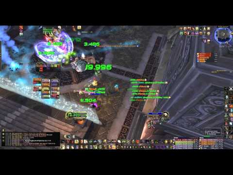 Der eiserne Qon - signa tempestatis - Holy Pala POV