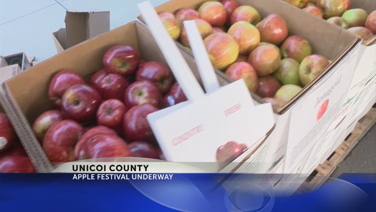 40th annual Unicoi Co. Apple Festival happening this weekend