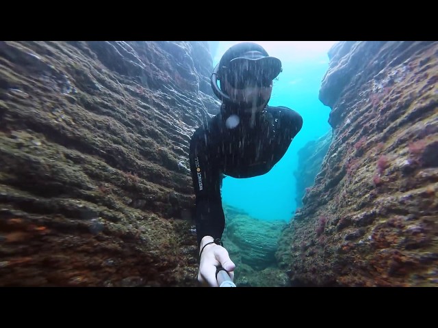 Snorkeling around Ilhéu da Vila Franca do Campo