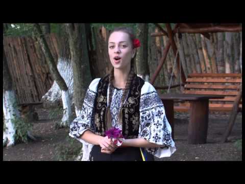 Cosmina Seulean - De la Iernut mai in jos