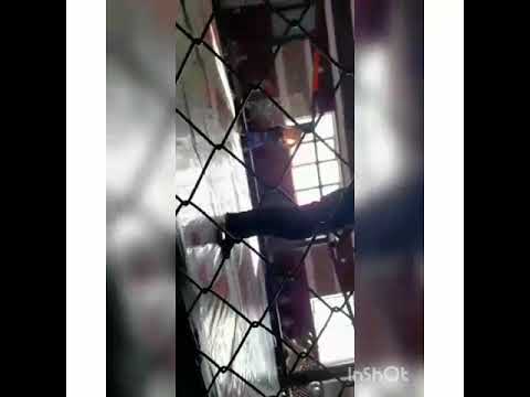 Бой дар Мусафох шуд Баротзода хасанбек 🐯🇹🇯☝