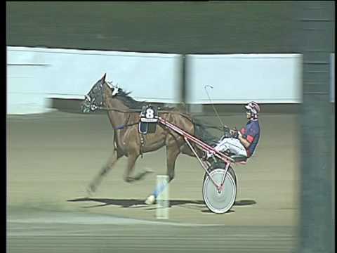 Trotto 05/08/2017 - 2ª corsa