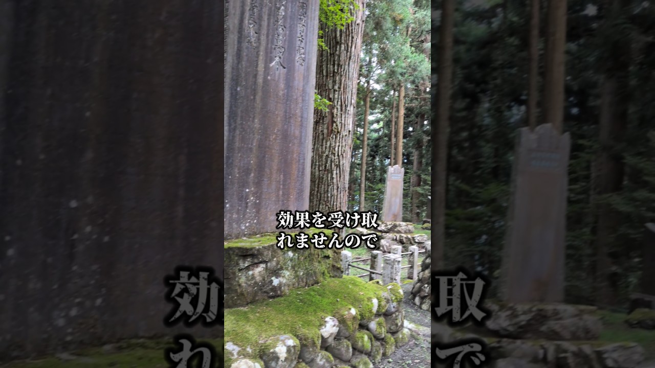 【霊視鑑定を今なら無料です。いつまで無料にしているかわからない為、早めに受ける事をおすすめします】 #金運 #金運上昇 #今日から開運 #パワースポット #財運 #スピリチュアル #引き寄せ #龍樹