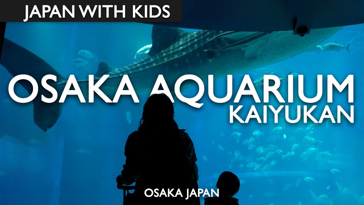Experience the wonders of marine life in the captivating Osaka Aquarium Kaiyukan.