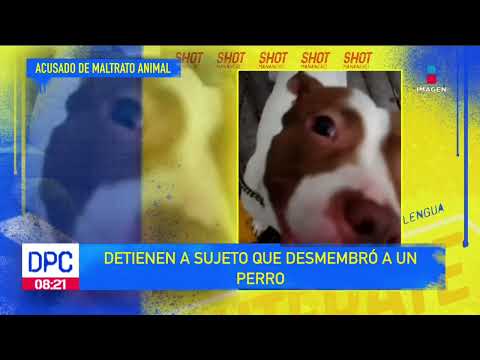 Detienen a sujeto que mató a un perro | De Pisa y Corre
