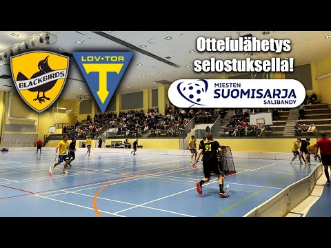 Blackbirds vs Loviisan Tor - Suomisarjan avausottelu 2024-25