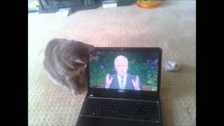 I Still Believe by BBMak