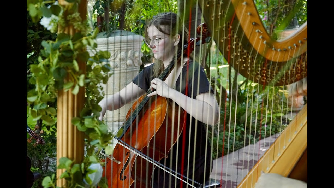 Promotional video thumbnail 1 for Liz Harpist