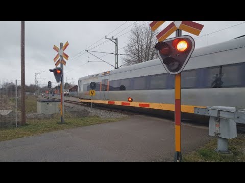 Tåg i Mörrum (Cargo på Spår 1 på Morgonen)