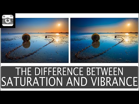 The Difference Between Saturation and Vibrance | Photoshop and Lightroom