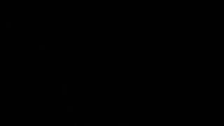 Gecko Mating Call! LOUD