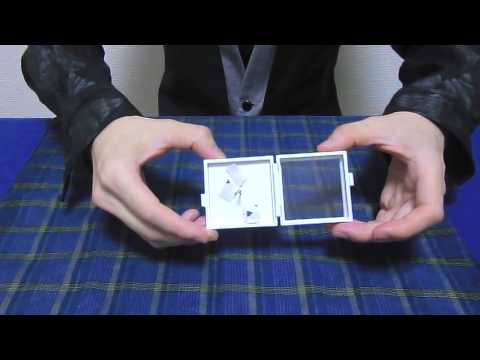 Magic Butterfly (T-262) by Tenyo