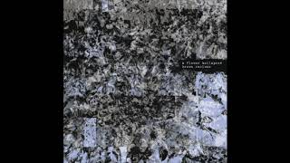 A FLOWER KOLLAPSED -  Brown Recluse (full album)