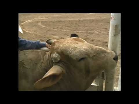 Gilbert Carrillo vs Fast Eddie - 95 PBR Del Rio (89 pts)