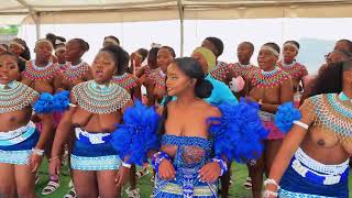 Mkabayi ka Jama V2 ft Amakhosazana ase Moleleki