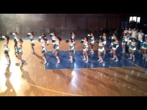 Medikus Kupa 2013: Cheerleader POTE