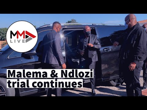 Malema &amp; Ndlozi trial Witnesses clarify 'assault' footage and burial entrance