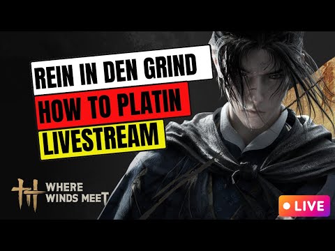 🔥 Where Winds Meet Rank 1 Global Duo Top 10 Solo BR – Tipps & Tricks deutsch Part 4