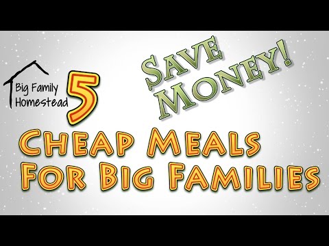 Cheap Meals For Big Families Easy Delicious and Kid Friendly