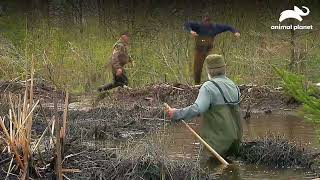 Thumbnail del capítulo