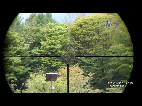 March Scope 1-10x24 Shorty Dual reticle -  fiber dot from 1.5x-10x in 6 levels of illumination