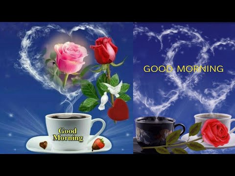 Good Morning GIF Images Video