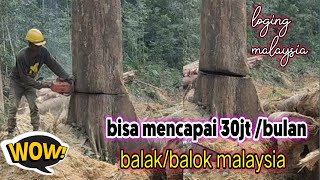 Download lagu kerja di Malaysia tebang kayu di hutan/loging/Working beams in the Malaysian jungle mp3 Download lagu kerja di Malaysia tebang kayu di hutan/loging/Working beams in the Malaysian jungle mp3