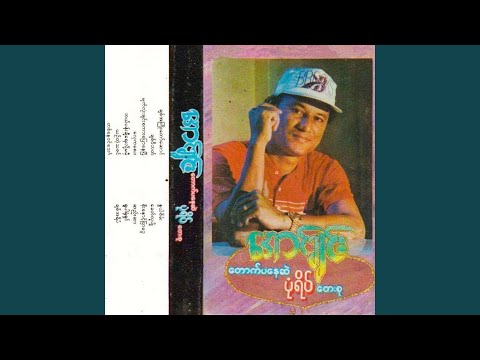 Myat lone Chin Sakar Pyaw Nay Pyi