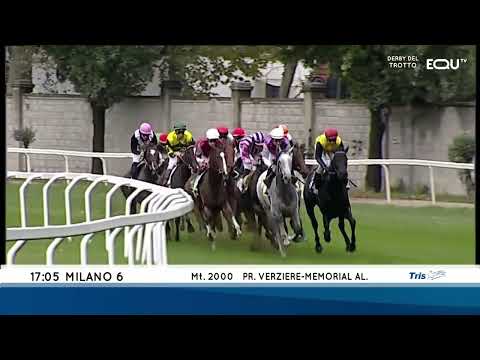 Premio Verziere Memorial Aldo Cirla Tr.arqana