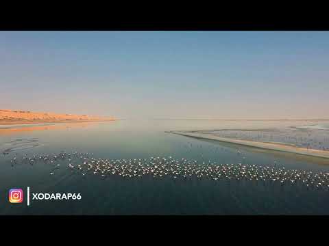 Le Lac El Ménia (El Goléa) Algérie 😲😲😲🤩🤩🤩 #algeria #elménia #voyage #algérievoyage #voyagealgérie