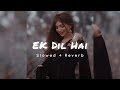 Ek Dil Hai [Slowed + Reverb] #lofi #slowedandreverb