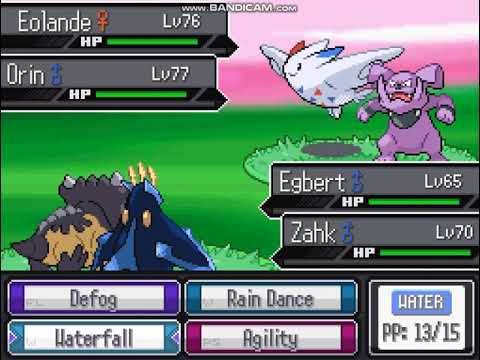 Pokemon Reborn Steel Monotype vs Adrienn