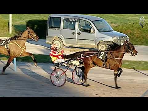 Aversa trotto 13 Gennaio 2021 - 6° Corsa