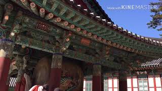 preview picture of video 'Jalan jalan di Korea - Haeinsa Budhist Temple'