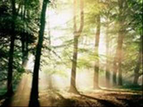 Jimmy Cliff - Morning Train