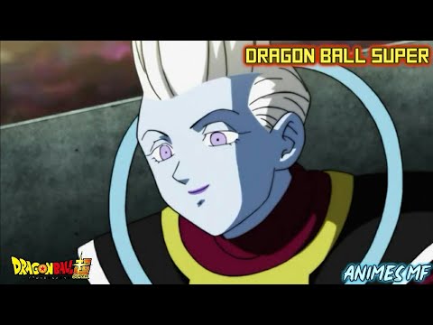 WHIS EXPLICA COMO GOKU ATINGIU O INSTINTO  SUPERIOR.