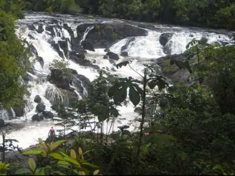 Baka twarfu yari (Suripop) by Patricia van Daal