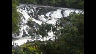 Download lagu Baka twarfu yari (Suripop) by Patricia van Daal mp3 Download lagu Baka twarfu yari (Suripop) by Patricia van Daal mp3