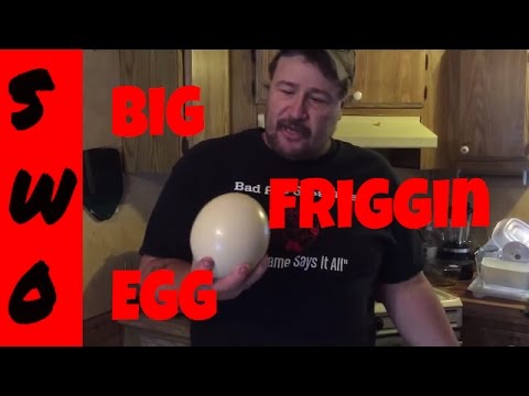 download lagu mp3 mp4 Deviled Ostrich Egg Recipes, download lagu Deviled Ostrich Egg Recipes gratis, unduh video klip Deviled Ostrich Egg Recipes