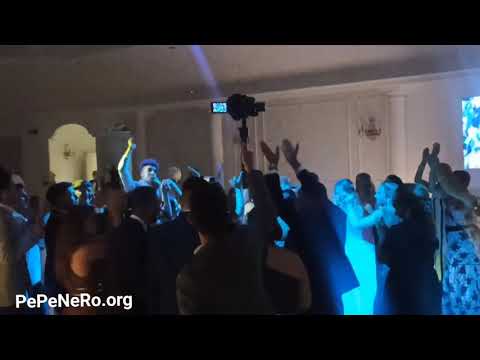 Divertimento e ballo per matrimoni